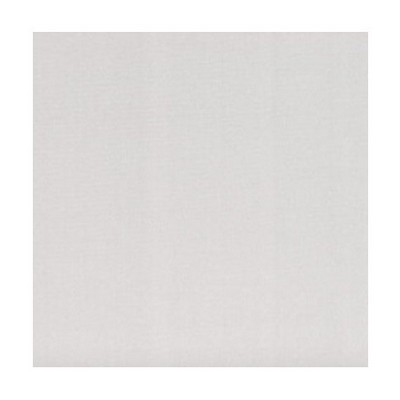 Scalamandre Silk Virtuose Platine SIGNATURE H0 00684165 White Multipurpose SILK SILK Solid Silk  Fabric