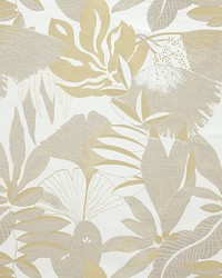 Hortus Resine by  Scalamandre 