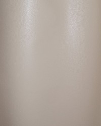 Meteor M1 Taupe by  Scalamandre 