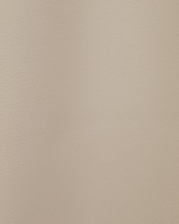 Meteor M1 Mastic by  Scalamandre 