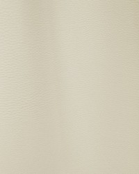 Meteor M1 Seigle by  Scalamandre 