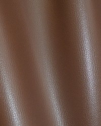 Meteor M1 Cacao by  Scalamandre 