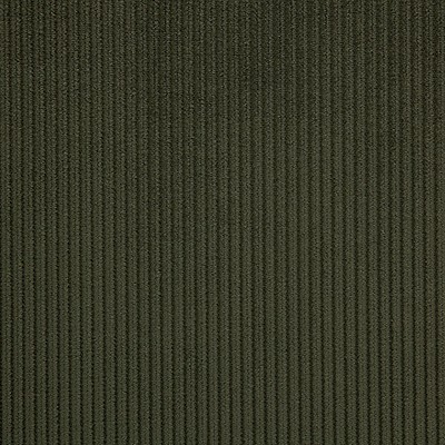 Scalamandre Riga M1 Sauge CONTRACT 24 H0 L0140806 Upholstery POLYESTER  Blend Solid Color Corduroy  Striped Velvet  Fabric
