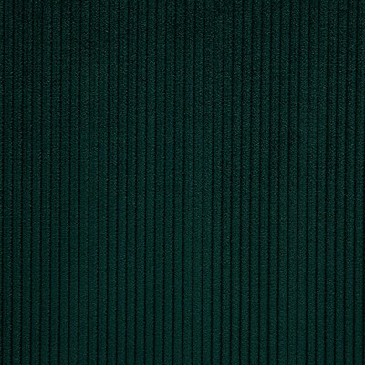 Scalamandre Riga M1 Canard CONTRACT 24 H0 L0160806 Upholstery POLYESTER  Blend Solid Color Corduroy  Striped Velvet  Fabric