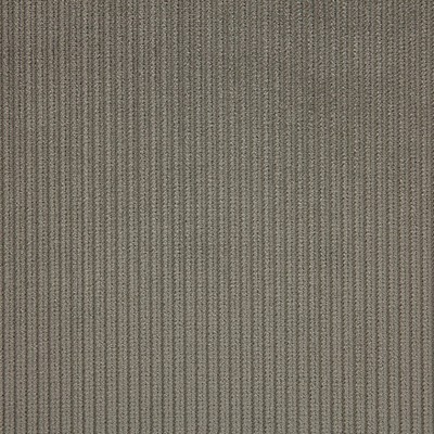 Scalamandre Riga M1 Galet CONTRACT 24 H0 L0220806 Upholstery POLYESTER  Blend Solid Color Corduroy  Striped Velvet  Fabric