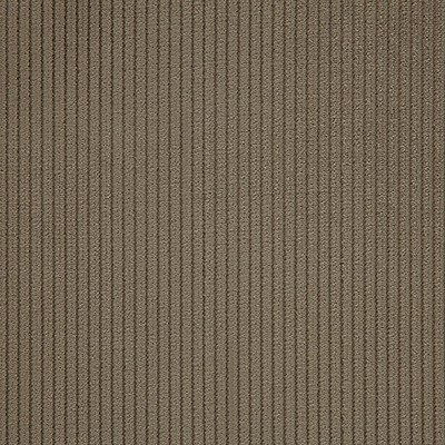 Scalamandre Riga M1 Mastic CONTRACT 24 H0 L0230806 Upholstery POLYESTER  Blend Solid Color Corduroy  Striped Velvet  Fabric