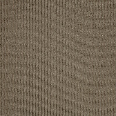 Scalamandre Riga M1 Mastic CONTRACT 24 H0 L0230806 Upholstery POLYESTER  Blend Solid Color Corduroy  Striped Velvet  Fabric