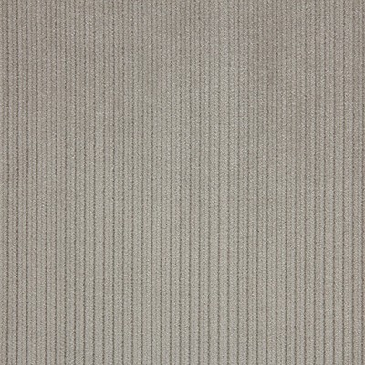 Scalamandre Riga M1 Albatre CONTRACT 24 H0 L0240806 Upholstery POLYESTER  Blend Solid Color Corduroy  Solid Beige  Striped Velvet  Fabric