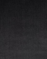 Riga M1 Chartreux by   