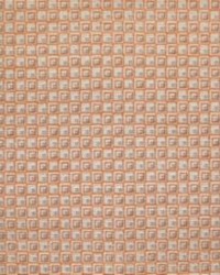 Nomade Terracotta by   