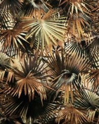 Les Marquises Mordore by   