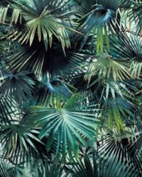 Les Marquises Emeraude by   