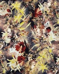 Flower Power Mordore by   