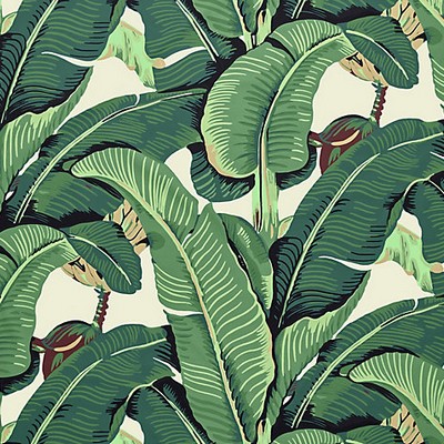 Scalamandre Hinson Palm Fabric Green HINSON ICONS HN 000142010 Green Upholstery COTTON COTTON Tropical  Beach Classic Tropical  Fabric