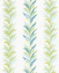 Chira Island Print Beach Glass by   