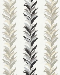 Chira Island Print Shadow by   