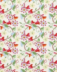 Morning Glory Primary by   