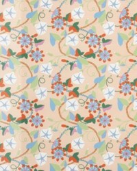 Morning Glory Peach by   