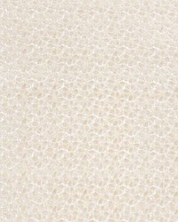 Petal Velvet Ivory by   