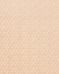 Petal Velvet Peach Fuzz by   