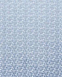 Petal Velvet Cornflower by   