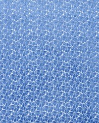 Petal Velvet Royal Blue by   