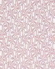 Scalamandre TELLY SUMMER PINK