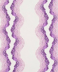 Anchita  Purple by  Grey Watkins 