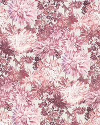 Greys Flower Garden  Pinks by  Grey Watkins 