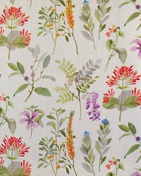 Sissinghurst  Coral multi by  Grey Watkins 