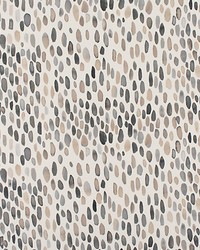 Jamboree  Greys by  Grey Watkins 