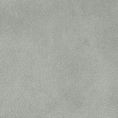 Old World Weavers Bellamy Dove STARK ESSENTIALS VELVET N2 0010BELL Grey POLYESTER|WITH  Blend Solid Velvet  Fabric