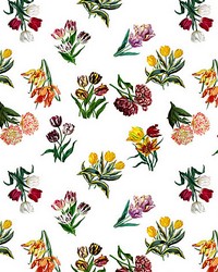 Etudes De Fleurs Brights by  Scalamandre 