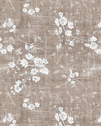 Blossom Fantasiasheer Mocha by   