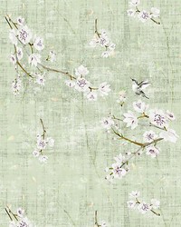 Blossom Fantasia Sheer Celadon by   