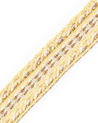 Galon Chainette Tape A Paille by  Scalamandre Trim 