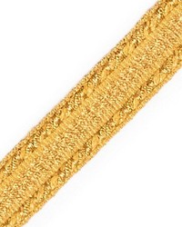 Galon Chainette Tape A Sable by  Scalamandre Trim 