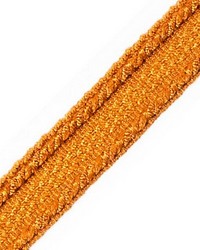 Galon Chainette Tape A Rouille by  Scalamandre Trim 