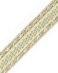 Galon Chainette Tape A Feuille by  Scalamandre Trim 