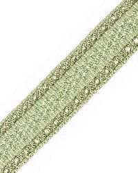 Galon Chainette Tape A Prairie by  Scalamandre Trim 