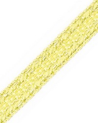 Galon Chainette Tape B Pistache by  Scalamandre Trim 