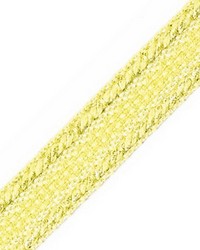 Galon Chainette Tape A Pistache by  Scalamandre Trim 