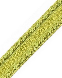 Galon Chainette Tape A Fougere by  Scalamandre Trim 