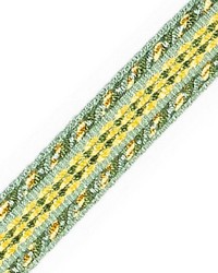 Galon Chainette Tape A Printemps by  Scalamandre Trim 