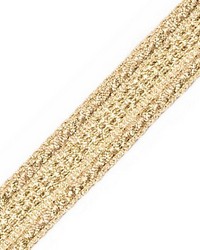 Galon Chainette Tape A Platine by  Scalamandre Trim 