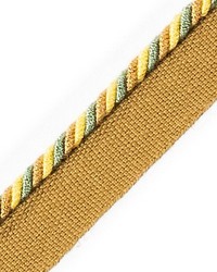 Cord With Tape Pampa by  Scalamandre Trim 