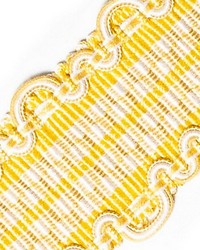 Safari Braid Vanilla by   