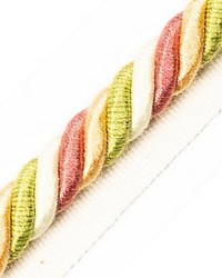 Milady Cord With Tape B Spring Bouquet by  Scalamandre Trim 