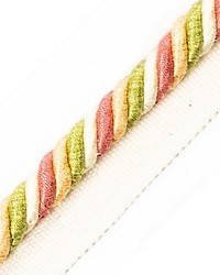 Milady Cord With Tape C Spring Bouquet by  Scalamandre Trim 