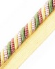Scalamandre Trim MILADY CORD WITH TAPE C SUMMER BOUQUET